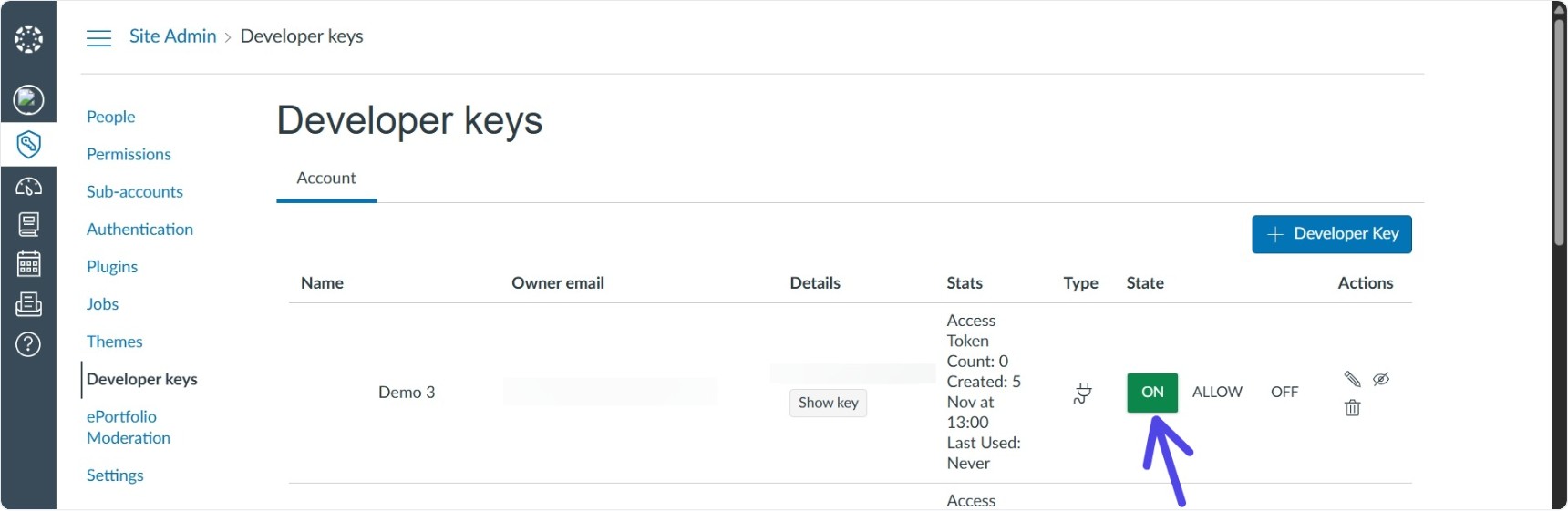 Screenshot: Developer Key On
